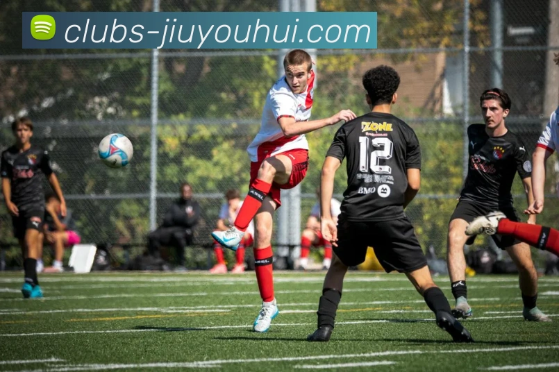 九游会官网平台生态图